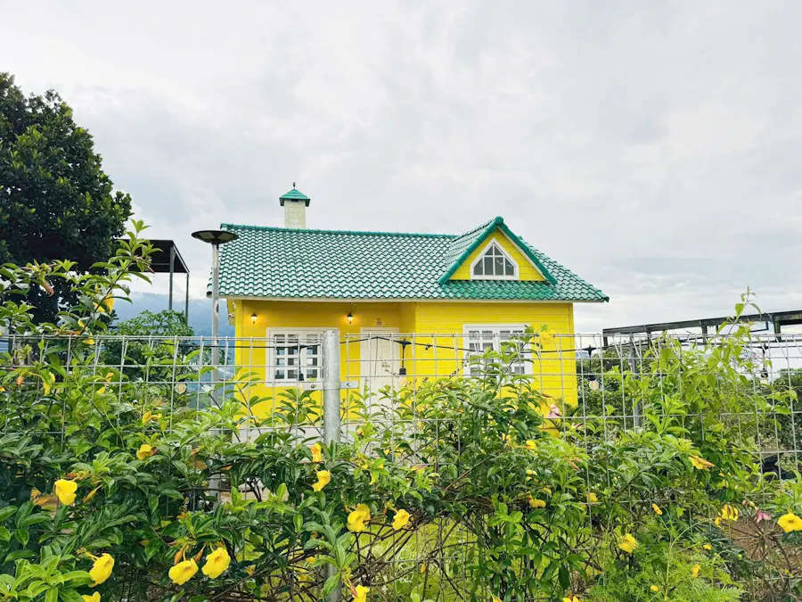 Villa Vàng — Nắng và hoa